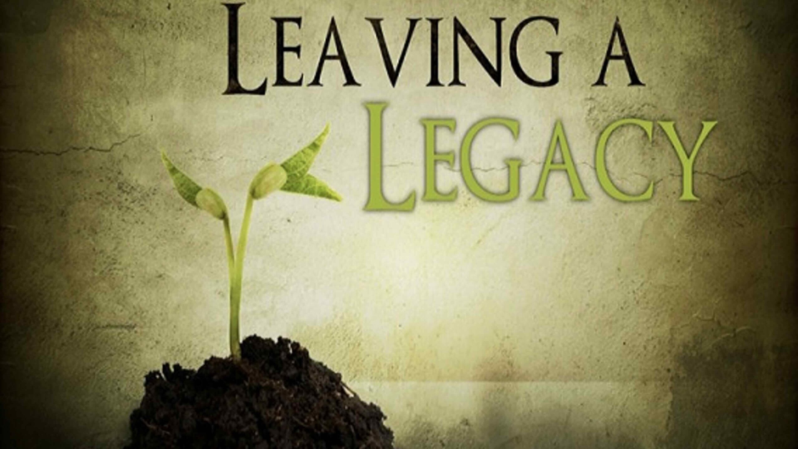 Interior of a modern bright classroom or office